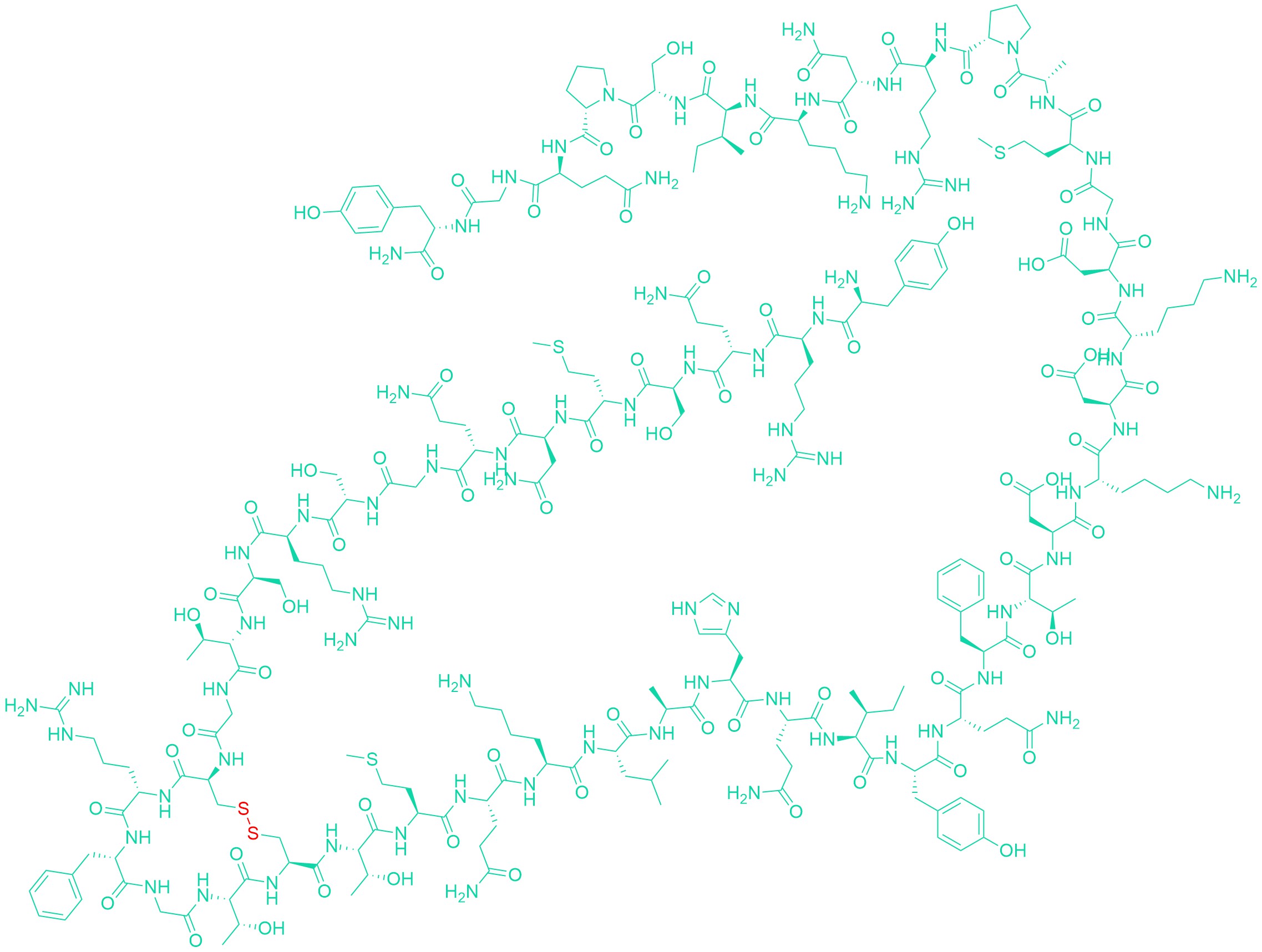 Adrenomedullin (rat)