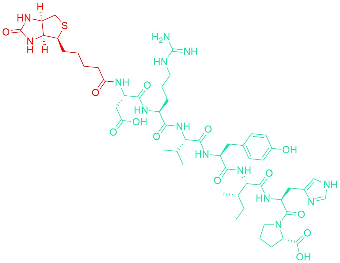 Biotinyl-Angiotensin I/II (1-7)