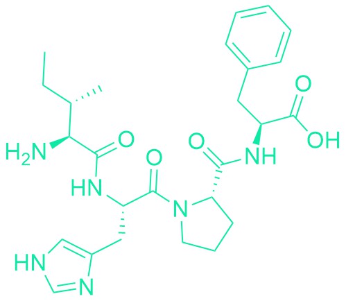 Angiotensin I/II (5-8)