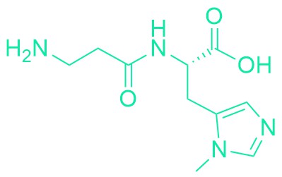 L-Anserine · nitrate