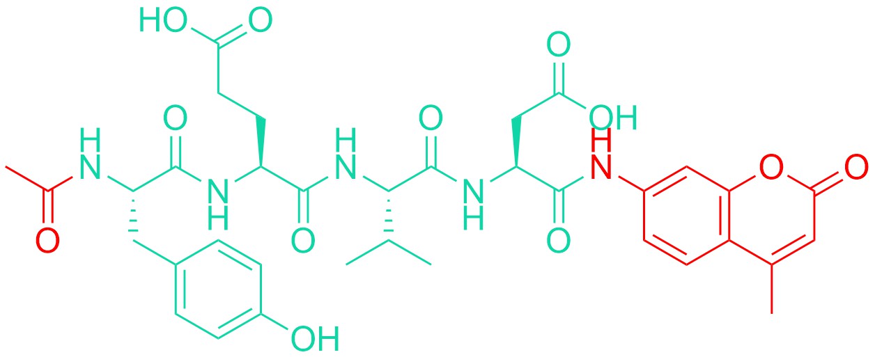 Caspase 1 Substrate 1m (ICE), fluorogenic