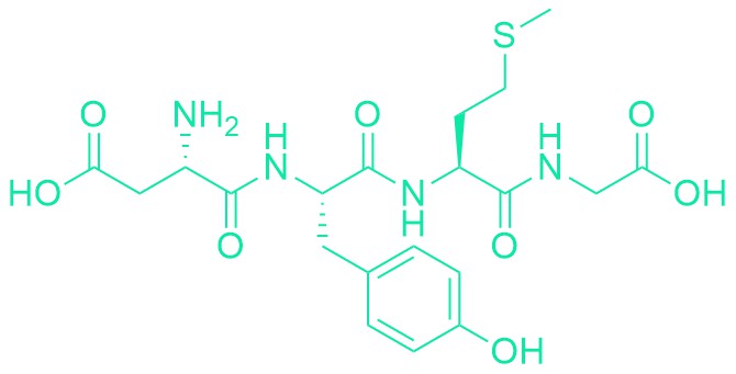 Cholecystokinin Octapeptide (1-4) (desulfated)