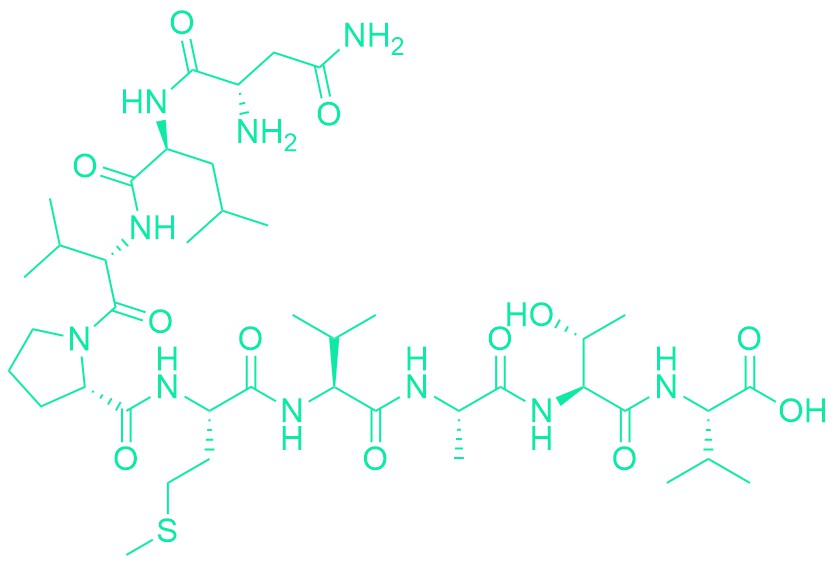 Human CMV pp65 (495-503)