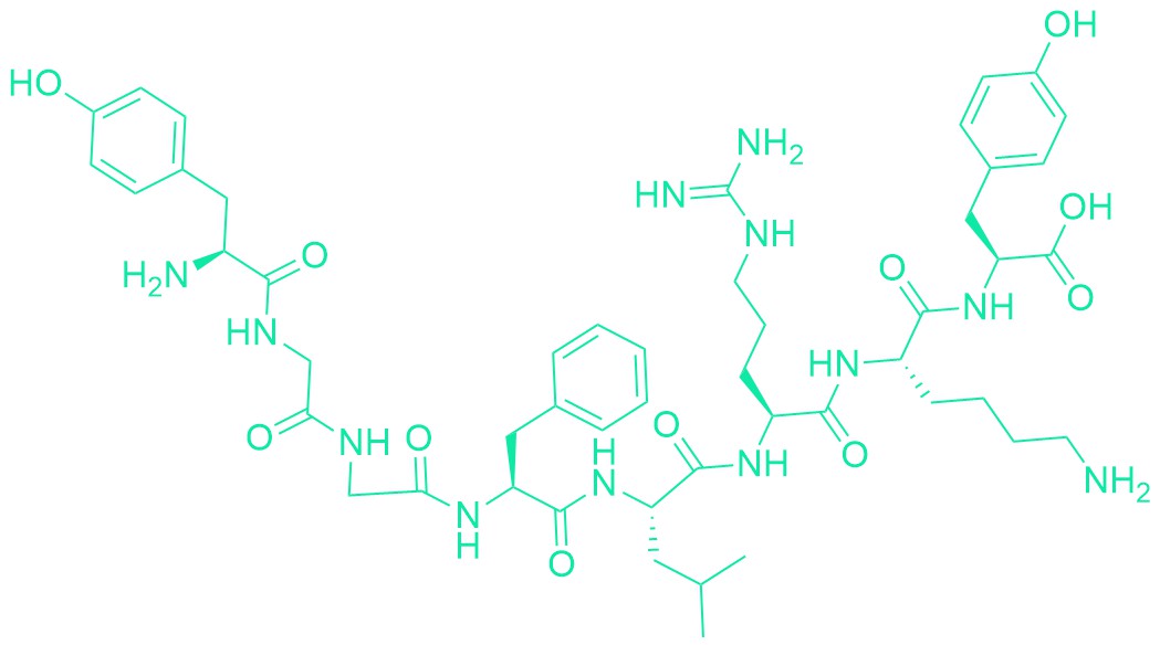 α-Neoendorphin (1-8)