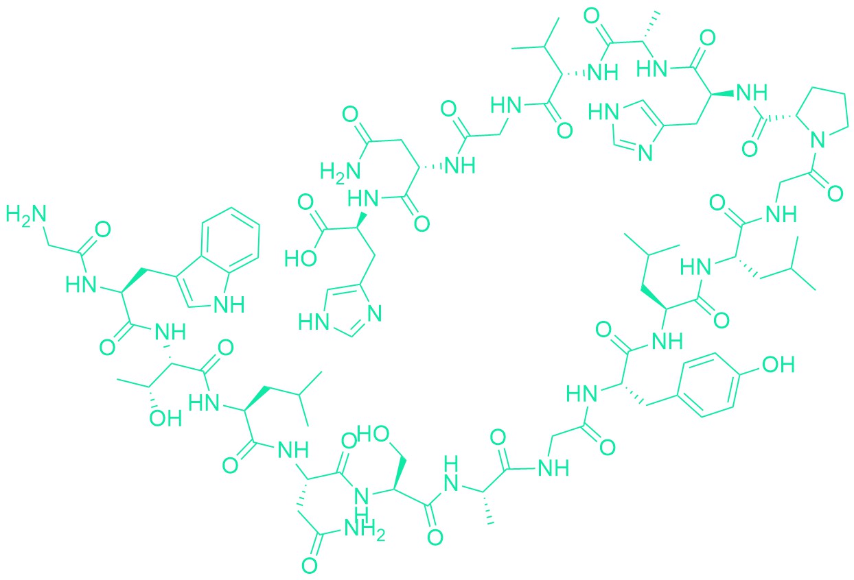 Galanin (1-19) (human)