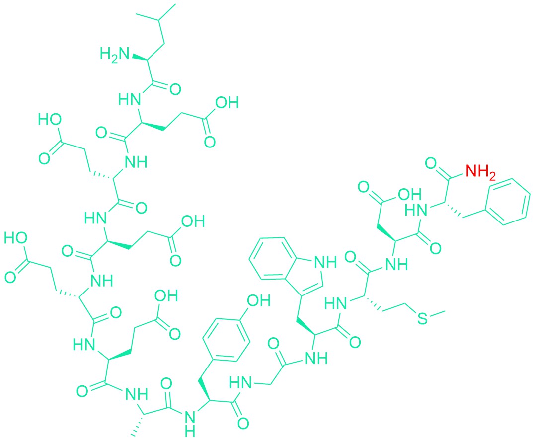 Minigastrin I (human)
