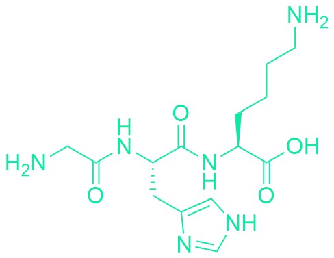 Liver Cell Growth Factor