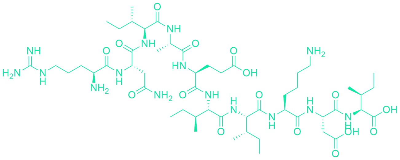 (Asn320)-Laminin γ-1 Chain (319-328) (rat)