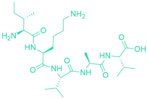 Laminin α-1 Chain (2099-2103) (human)