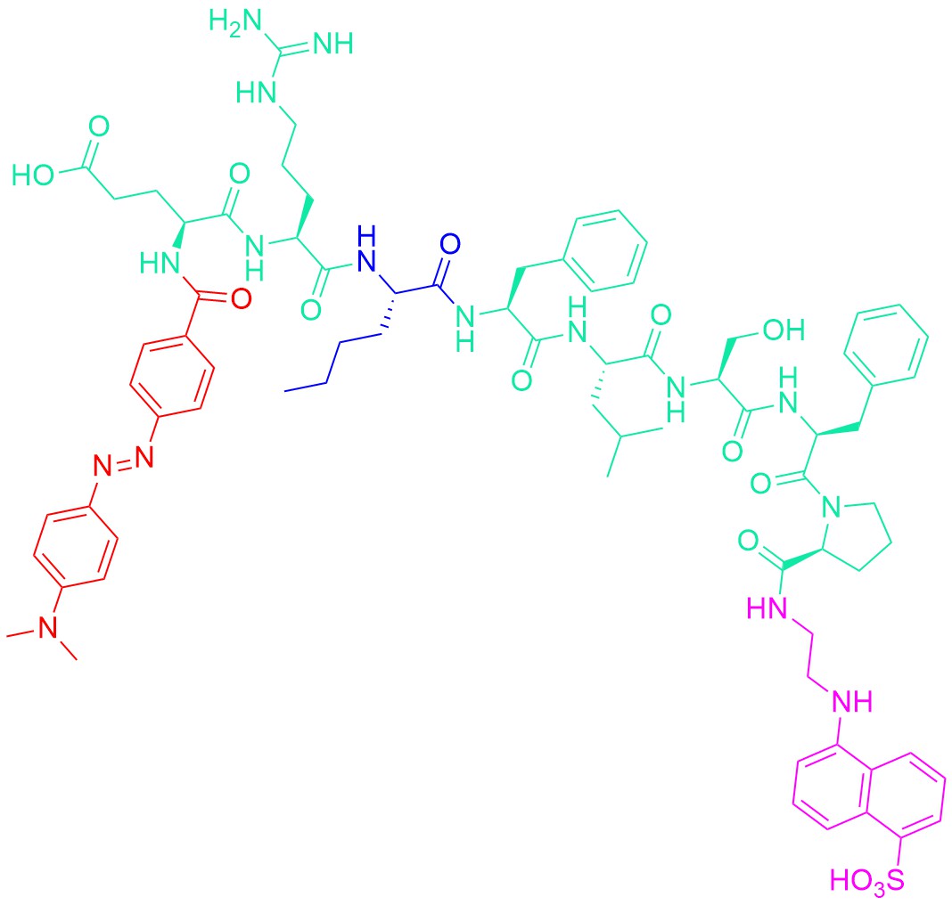DABCYL-Glu-Arg-Nle-Phe-Leu-Ser-Phe-Pro-EDANS