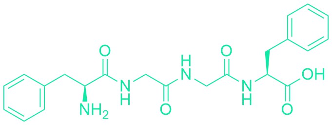 H-Phe-Gly-Gly-Phe-OH