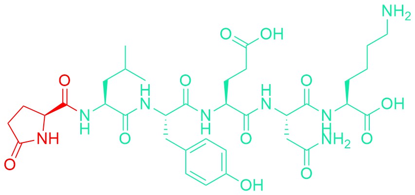 Neurotensin (1-6)
