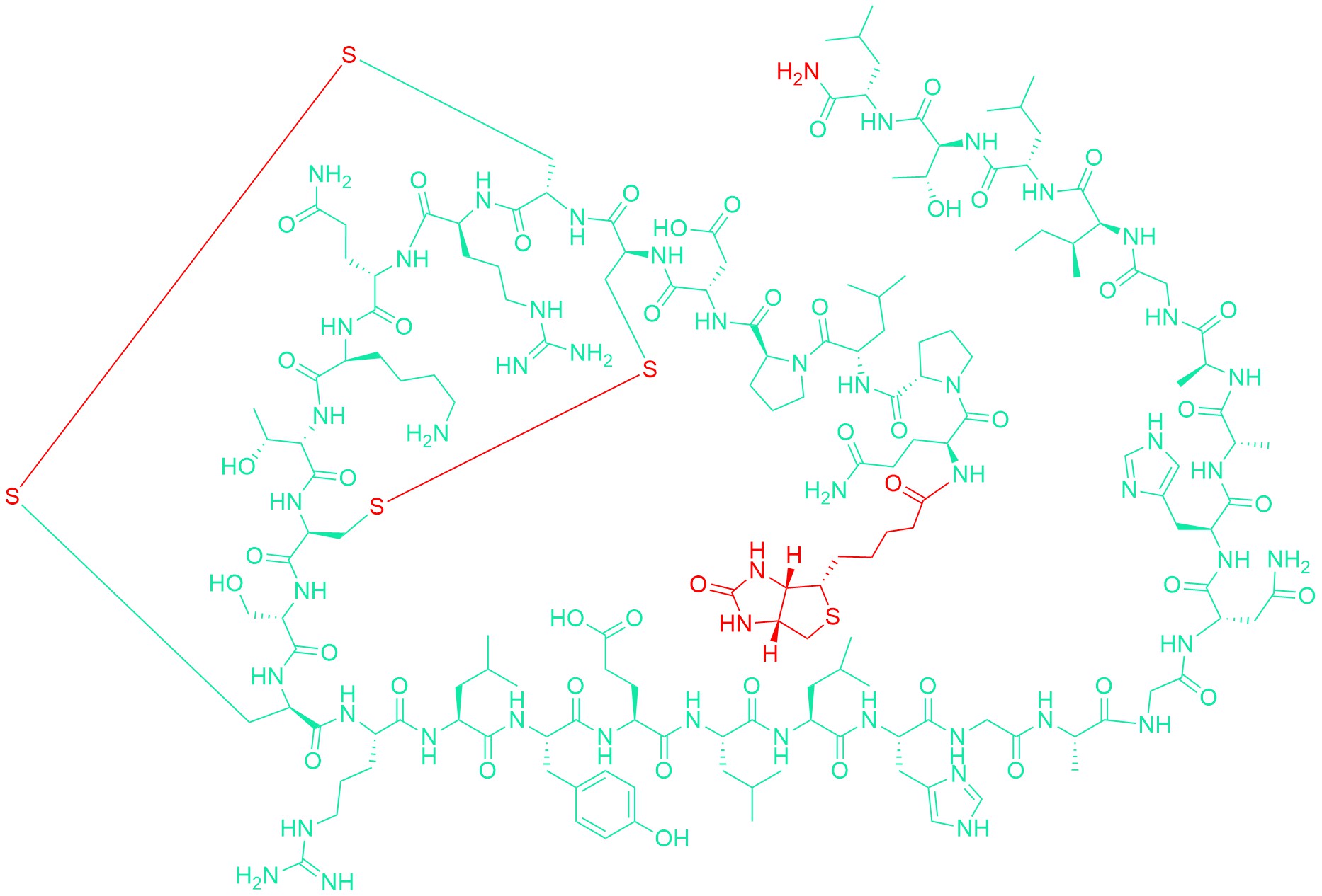 Biotinyl-(Gln1)-Orexin A (human, mouse, rat)