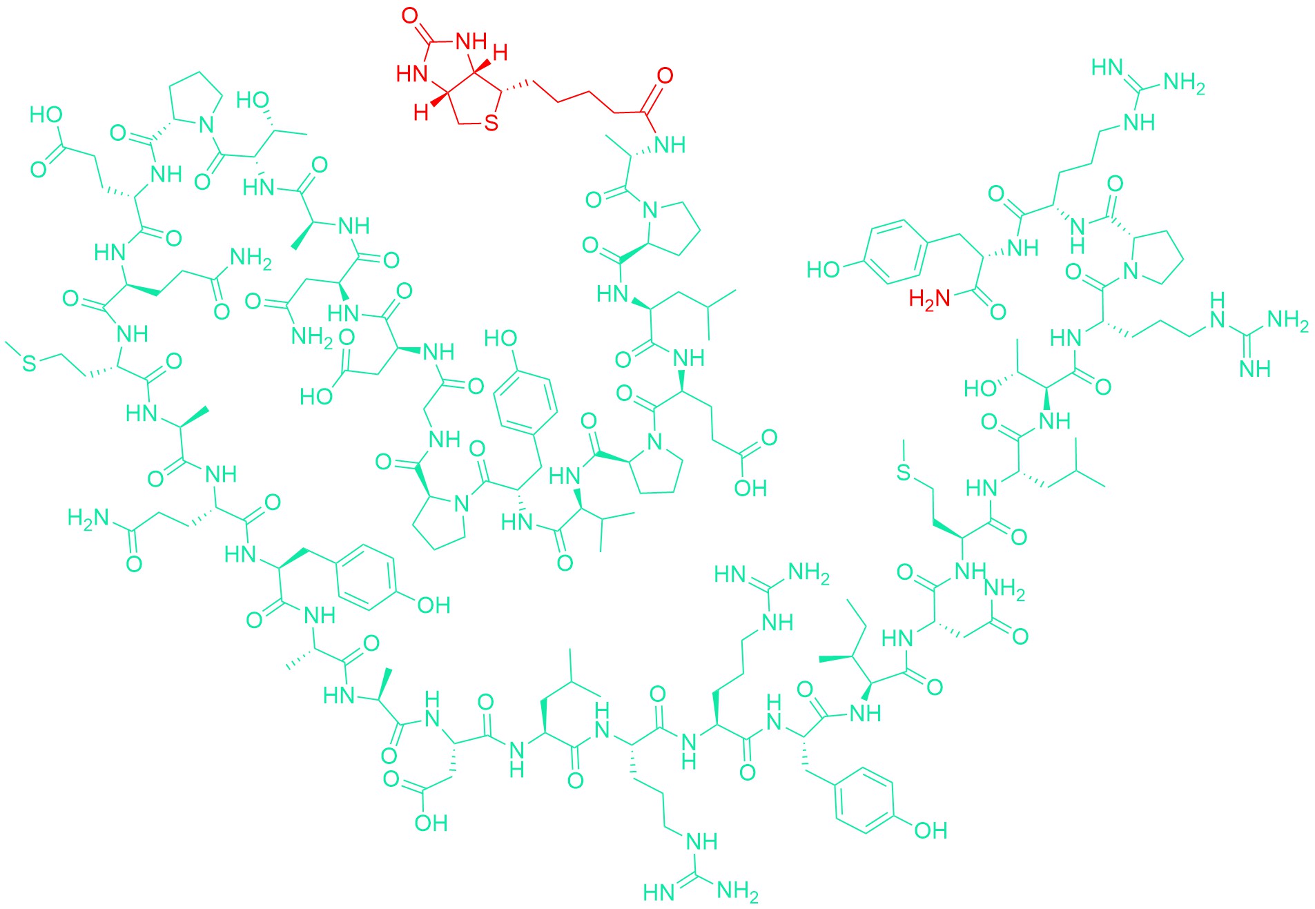 Biotinyl-Pancreatic Polypeptide (human)