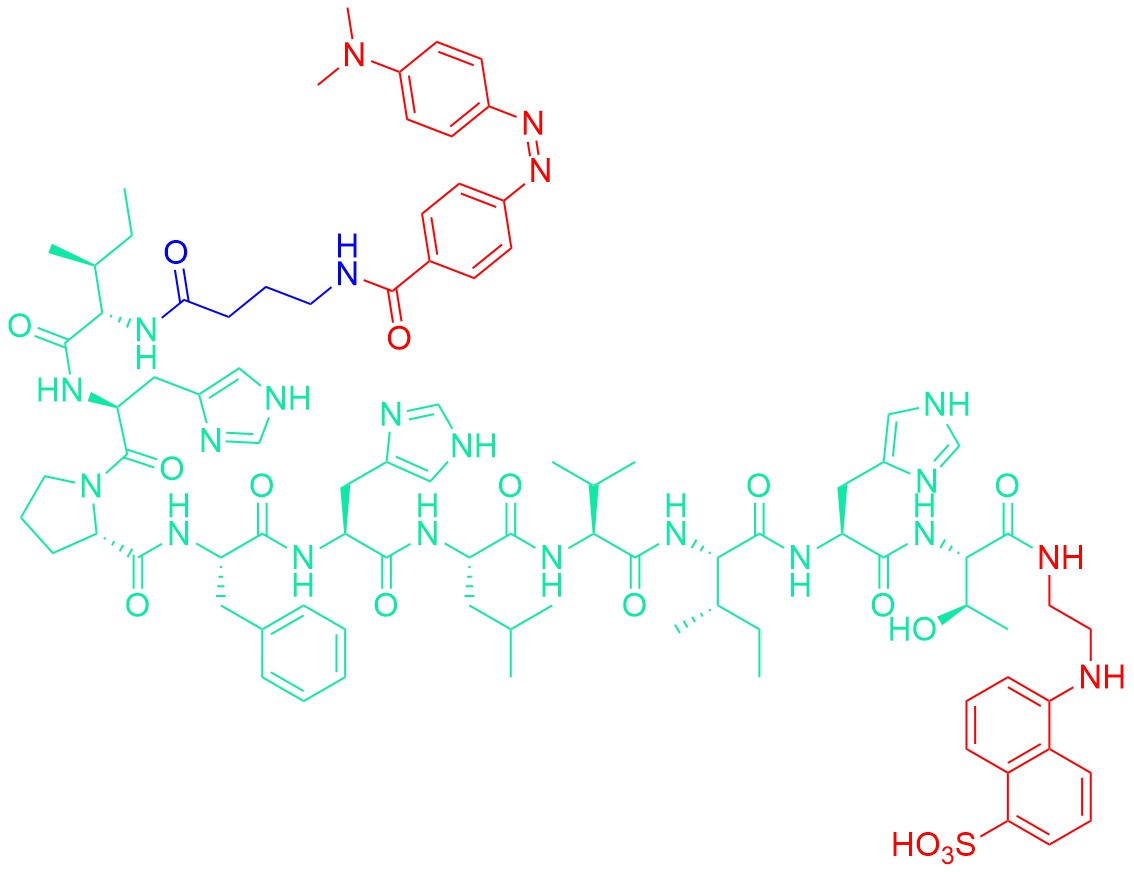 DABCYL-γ-Abu-Ile-His-Pro-Phe-His-Leu-Val-Ile-His-Thr-EDANS