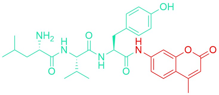 H-Leu-Val-Tyr-AMC