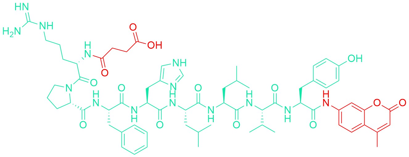 Suc-Arg-Pro-Phe-His-Leu-Leu-Val-Tyr-AMC