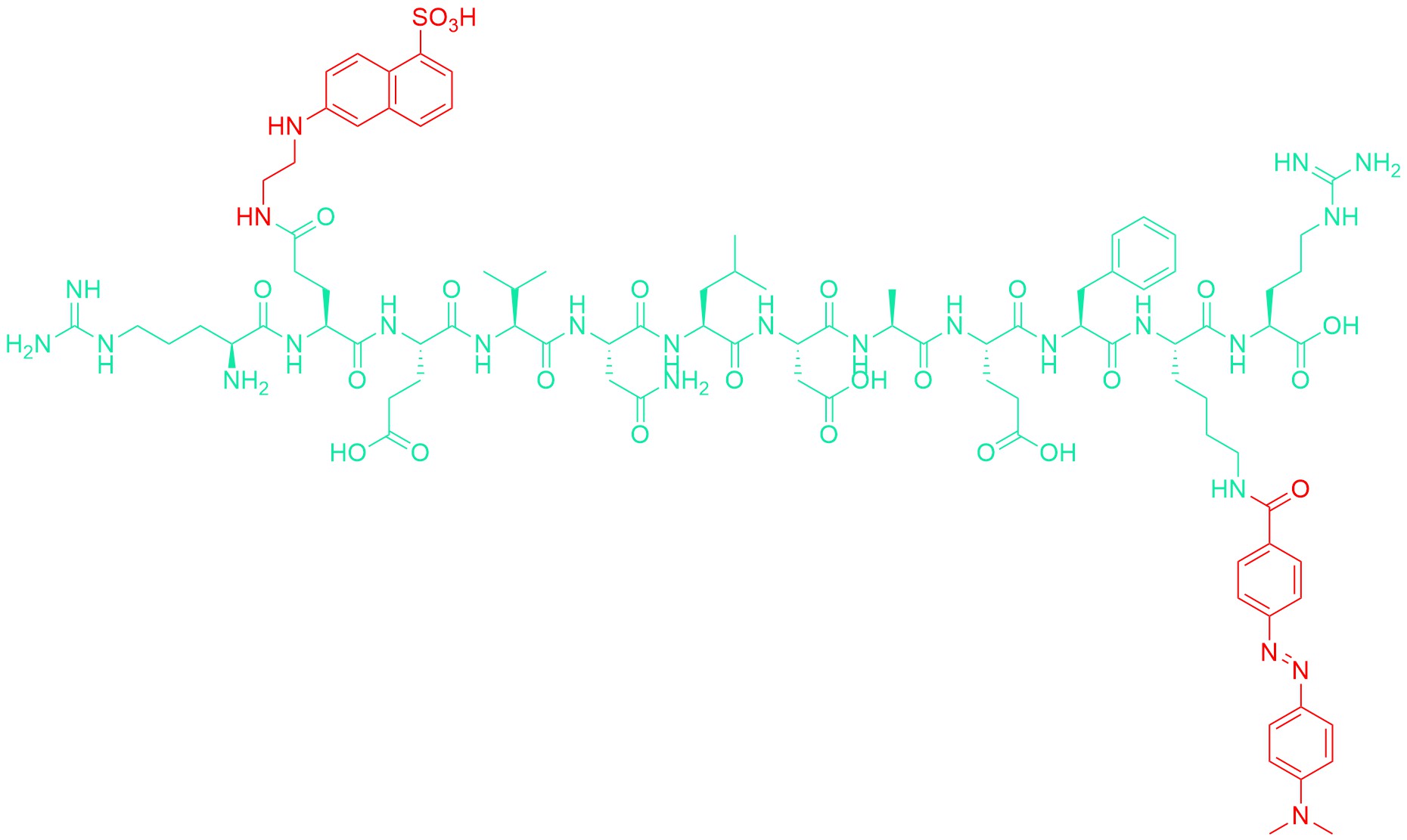 Arg-Glu(EDANS)-(Asn670,Leu671)-Amyloid β/A4 Protein Precursor770 (668-675)-Lys(DABCYL)-Arg