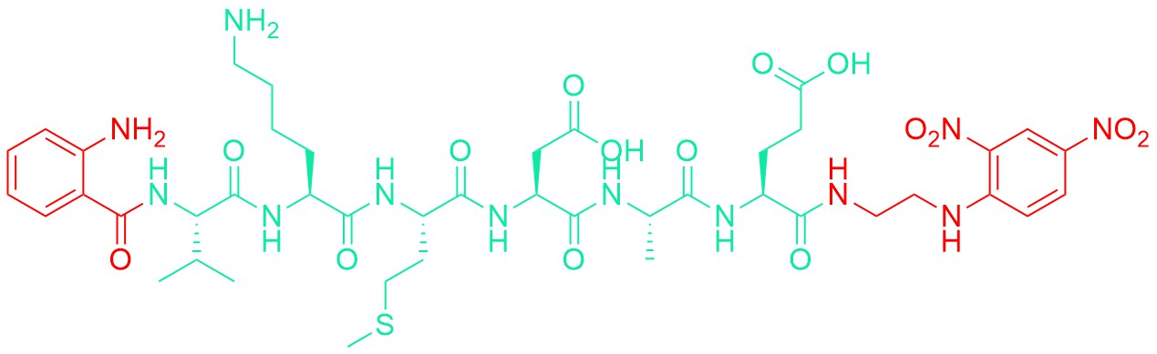 Abz-Amyloid β/A4 Protein Precursor770 (669-674)-EDDnp