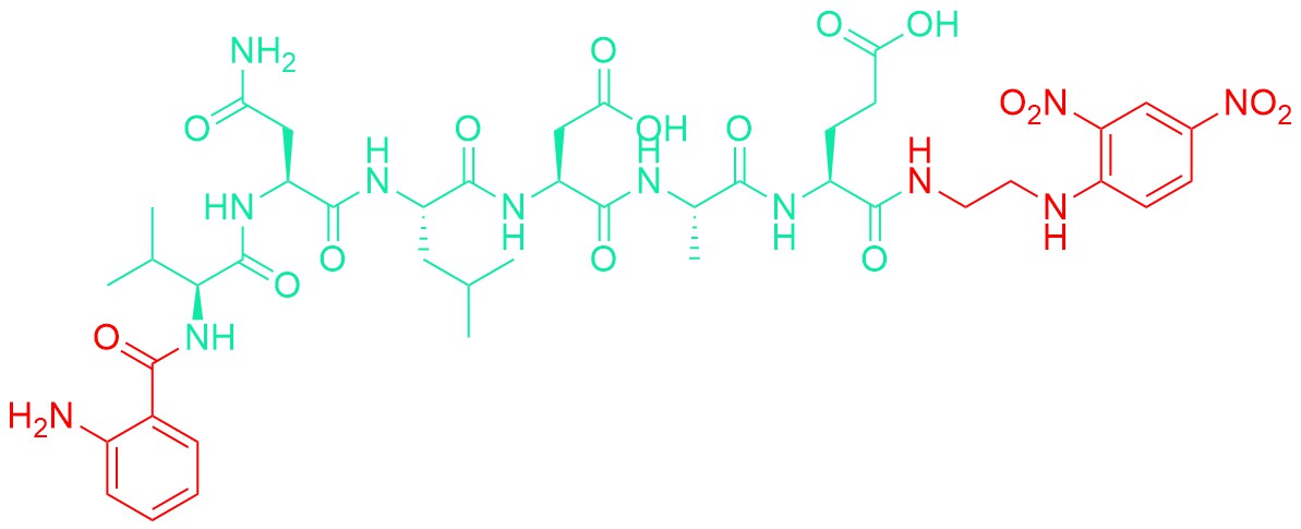 Abz-(Asn670,Leu671)-Amyloid β/A4 Protein Precursor770 (669-674)-EDDnp