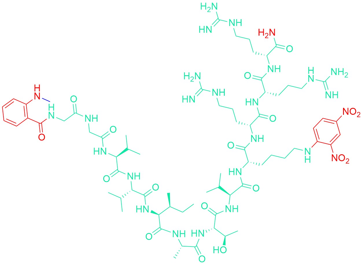 N-Me-Abz-Amyloid β/A4 Protein Precursor770 (708-715)-Lys(Dnp)-D-Arg-D-Arg-D-Arg amide