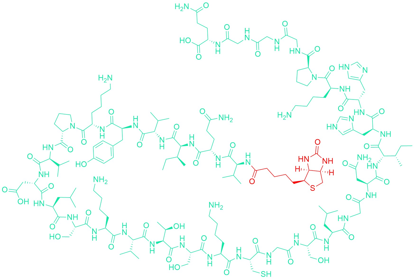 Biotinyl-Tau Peptide (306-336) (Repeat 3 Domain) (human)