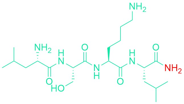 H-Leu-Ser-Lys-Leu-NH2