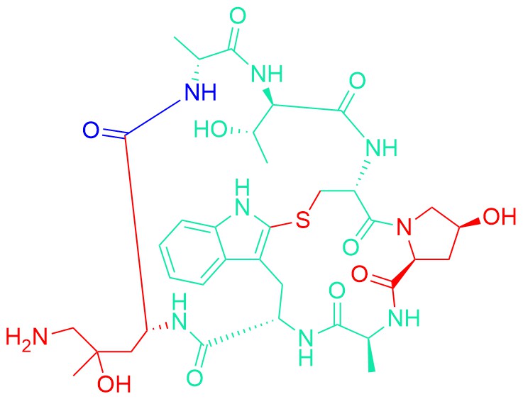 ((R)-4-Hydroxy-4-methyl-Orn7)-Phalloidin