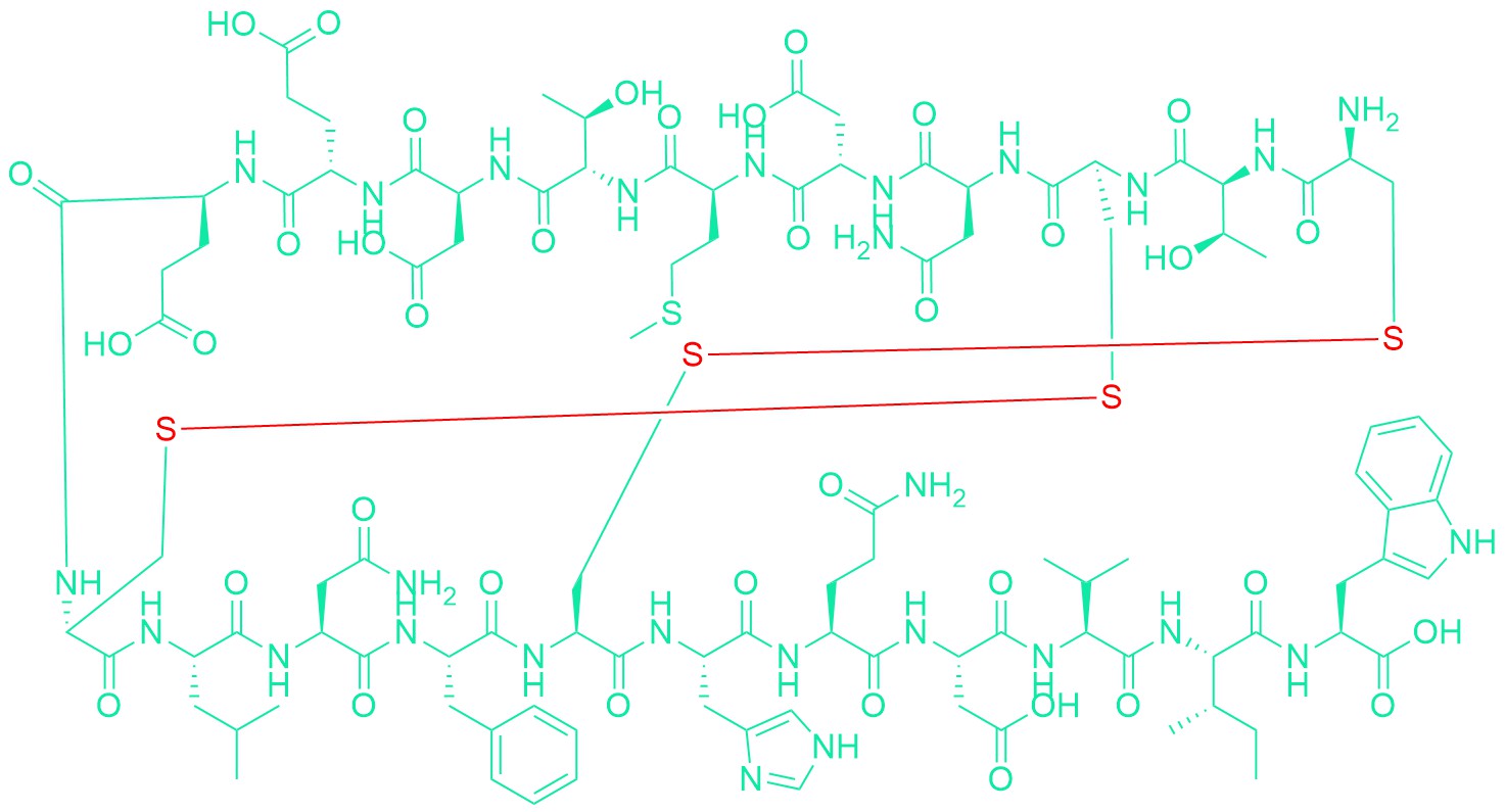 Sarafotoxin C