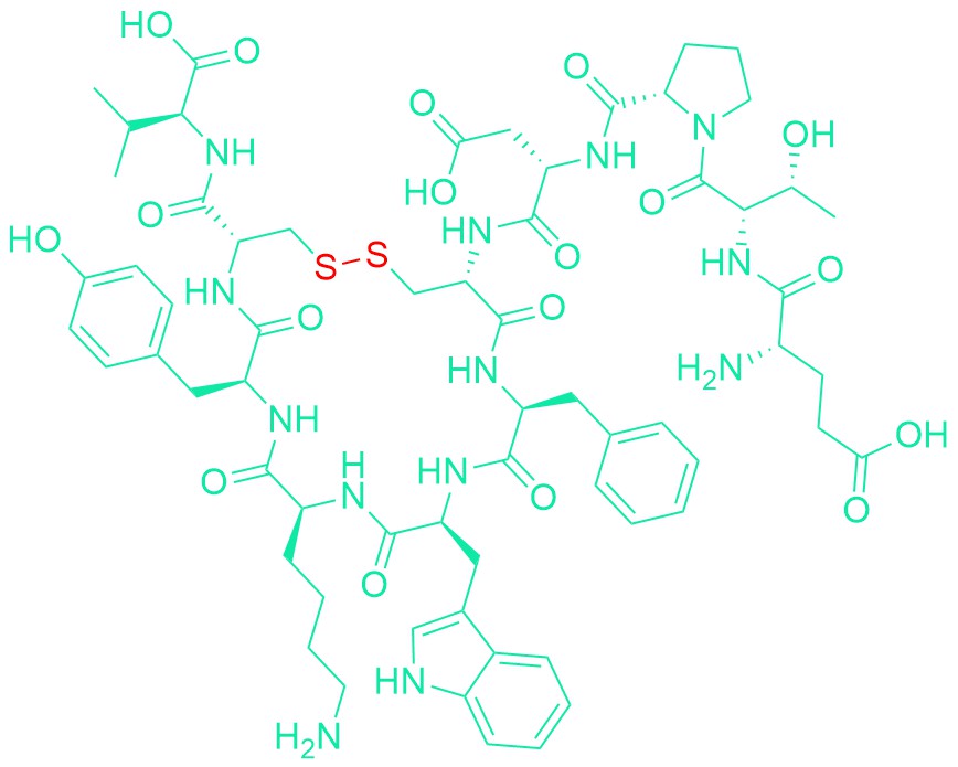 Urotensin II (human)