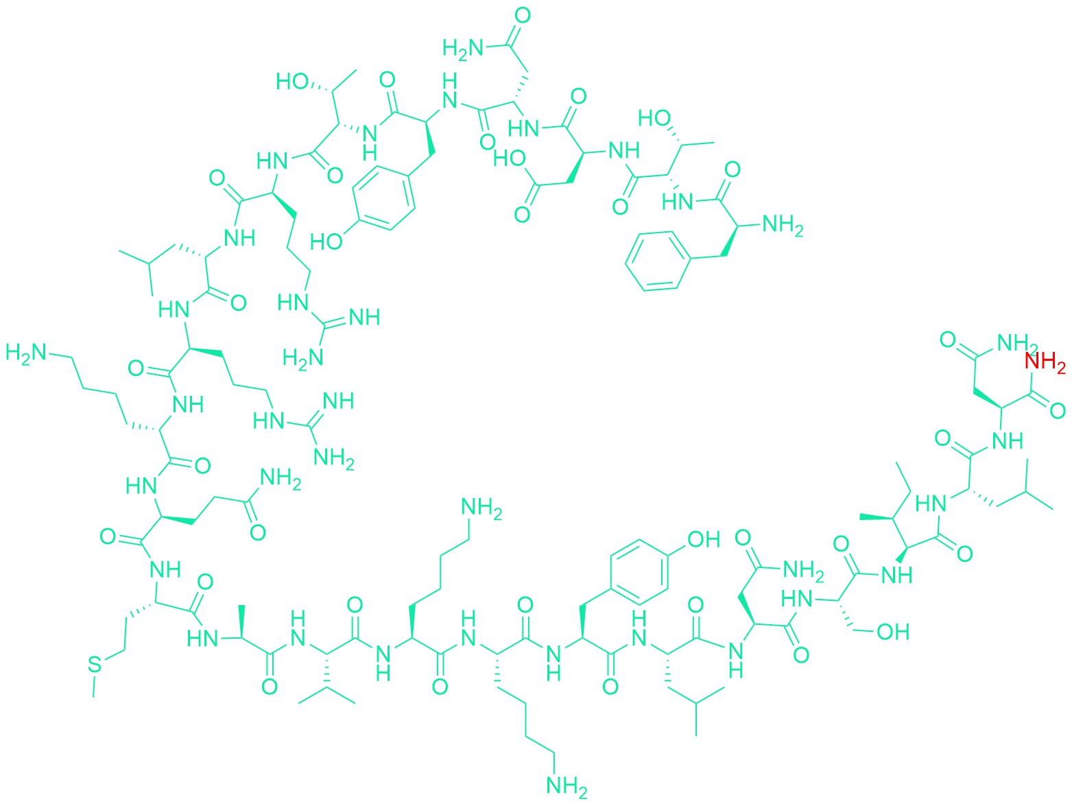 VIP (6-28) (human, mouse, rat)