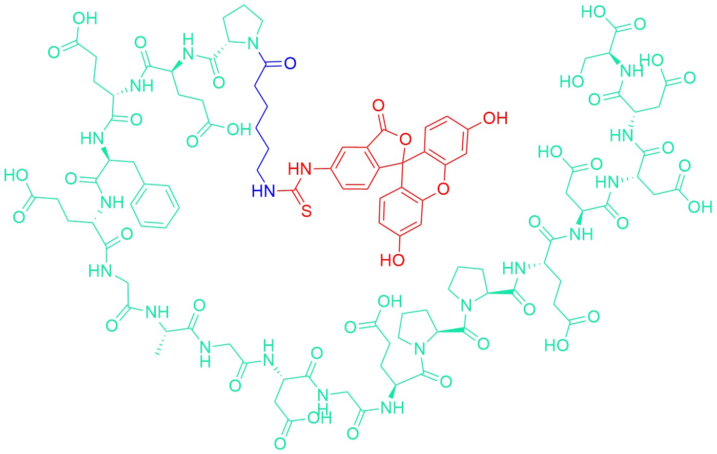 FITC-εAhx-HHV-2 Envelope Glycoprotein G (561-578)
