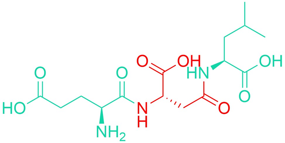 Glu-γ-Asp-Leu