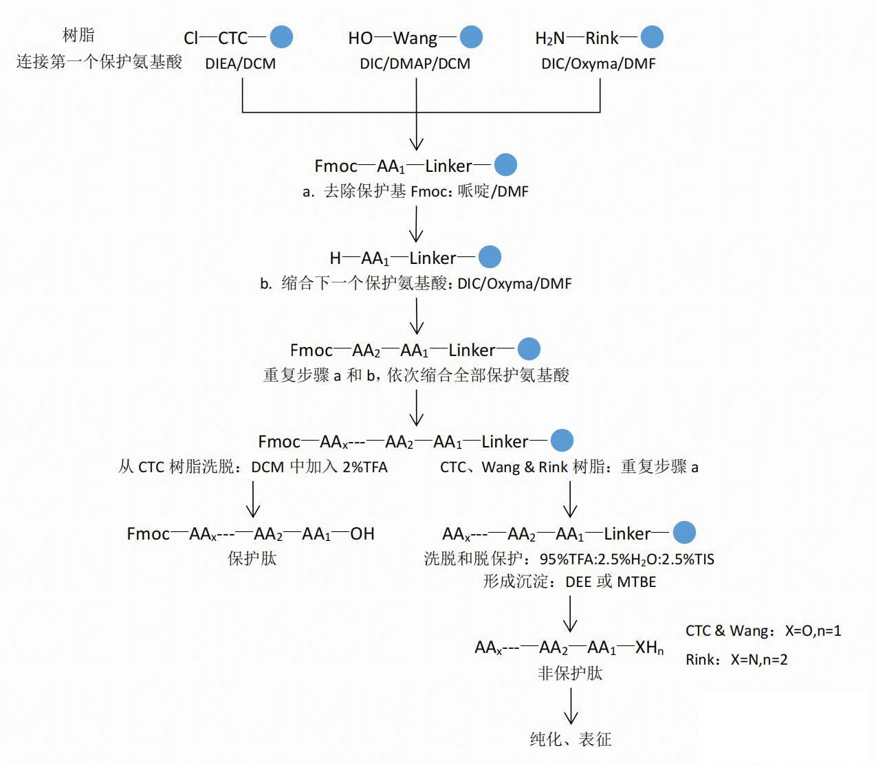 1786116343526106.jpg 固相合成简单流程图.jpg