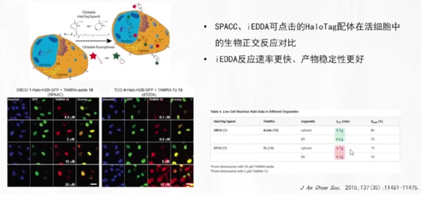 图片-6.jpg